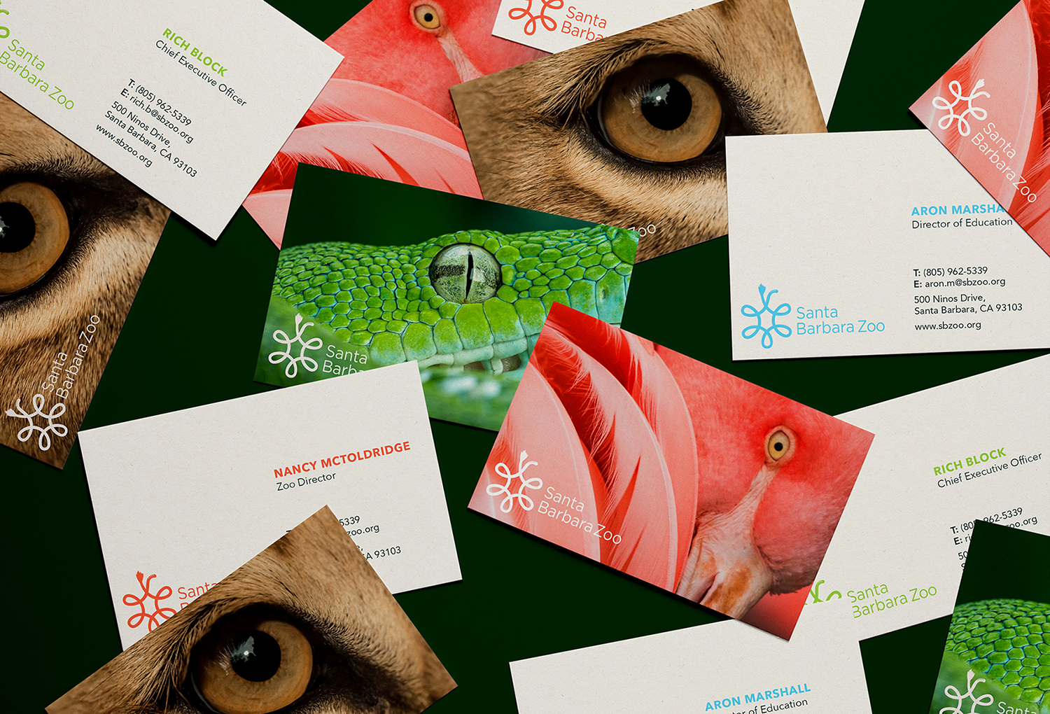 SB Zoo_Businesscard