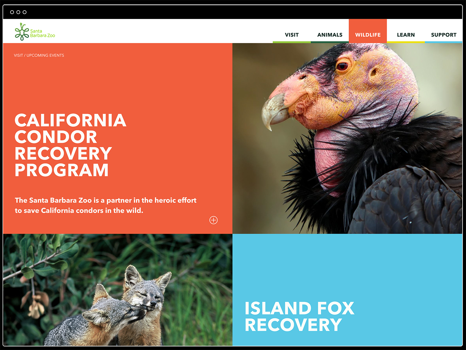 SB Zoo_Website_Wildlife